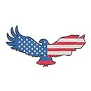 ISEE 360 American Eagle Flag Embroidered Sweable Applique Patches for Riders Jackets Boys Men Women Girls Clothes Garments Etc L x H 9 x 4.5 inch