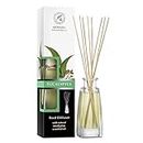 Reed Diffuser 100ml with Eucalyptus Essential Oil - Fragrance Oil Reed Diffuser with Rattan Sticks - Room Freshener - Relaxation Fragrance - Scented Diffusers - Home Fragrance