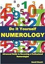 DO IT YOURSELF NUMEROLOGY: Advanced Guide to Becoming a Professional Numerologist: Loshu Grid, Name Correction, Vastu analysis, Stock Market Investing, Relationship, Partnership etc