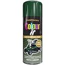 Paint Factory Colour It Quick Drying Spray Paint 400ml Nato Green Matt Finish