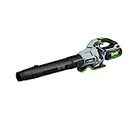EGO Power+ LB6504 650 CFM Variable-Speed Handheld Blower with 5.0AH Battery and Standard Charger