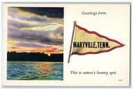 1940 Greetings Maryville TN This Is Nature's Beauty Spot Pennant Old Photo