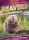 Beavers in Their Ecosystems (Vital to Earth! Keystone Species Explained)