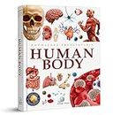 Knowledge Encyclopedia - Human Body (Knowledge Encyclopedia for Children) [Hardcover] Wonder House Books