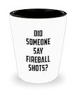 Funny Fireball Shot Glass - Did Someone Say Fireball Shots - Unique Inspirational Sarcasm Gift for Men and Women