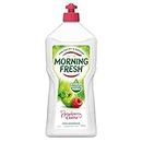 Morning Fresh Raspberry & Apple Dishwashing Liquid, 900 milliliters