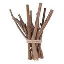 Holibanna Birch Branches Natural Birch Twigs Craft Centerpieces Decorative Dry Wooden Sticks Arts Photo Props 15CM