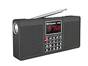 LETING Portable Radio with Bluetooth, Portable Am FM Radio with 2 3W Stereo Speakers, Portable Radio with Rechargeable Battery, Alarm Clock and Flashlight, Tape C and Am FM Radio (Gray) Grey