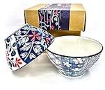 pepplo Ceramic Japanese Ramen Bowls Set Small Soup Noodle Bowls, Udon Soba Pho Bowls Porcelain Pho Bowls (300ML, Set of 2)