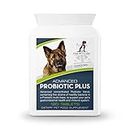 Advanced Probiotic Plus, 5 Powerful Strains of Bacteria in a Prebiotic Inulin Base, 2 Billion CFUs Per Tablet, Plus Digestive Enzymes, 120 Tablets, UK Manufactured to GMP Standards