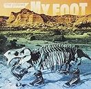 My Foot [Import]