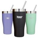 Healthy Human Insulated Stainless Steel Tumbler Travel Cruiser Cup with Straw and Lid 32 oz Pure Black