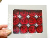 Verdissimo Real Preserved Roses Mini Red 12 Ct Wedding Floral Arrangements
