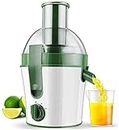 Machine de cuisine lente Masticating Extractor Adjustment Cold Press For Vegetables And Fruits Stick Blenders Green