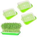 Harvest House Germination Plastic Tray (Pack of 3) | Hydroponics Sprouter and Grass Growing Tray | Aquaponics Tray for Garden, Home and Office | Plant and Vegetables Growing kit Tray