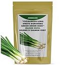 Evergreen Long White Bunching Green Onion Seeds for Planting Nebuka (Approx. 750 Seeds- 5 Gram) Scallions Spring Long Green Onion Seed Great for Spring Or Fall Planting