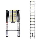 Welbuilt Aluminium Telescopic Ladder 18 feet | 2 Year Warranty