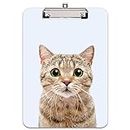 Hnogri Plastic Clipboard A4, Fashion Design A4 Letter Size Clipboards & Forms Holders for Office Supplies Lawyers,School Students and Kids, Low Profile Clip Cute Clipboard Folder, Cute Cat