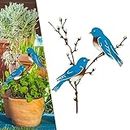 DAZZTIME Uccelli in Metallo Arrugginita,Decorazione Autunnale,Decorazione da Giardino in Metallo a Forma per la Casa Giardino Giardino Giardino Giardino Decorazione