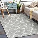 Lahome Moroccan Machine Washable Rug - 5x7 Area Rugs for Living Room Non-Slip Throw Large Grey Rugs for Bedroom Modern Trellis Carpet for Entryway Office Kitchen Dining Room Rug Decor (5'x7', Gray)
