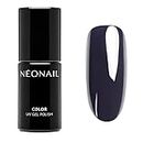 NEONAIL UV Nagellack 7,2 ml Grau New Moon Prince NEONAIL Farben UV Lack Gel Nägel Nageldesign Shellack