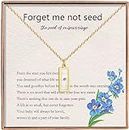 Haoze Miscarriage Gifts for Mothers Forget Me Not Seed Necklace Baby Loss Grief Sympathy Gift Child Loss Memorial Gifts Jewelry (Miscarriage Necklace-Rectangle-Gold)