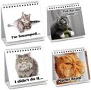 Cat Lover Gifts for Women - Funny Desk Signs & Office Decor | MoodyCards with Ca