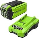 Greenworks Tools Battery G40B2 2nd Generation & Greenworks Tools Battery Charger G40C 2nd Generation
