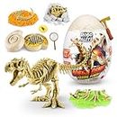 Robo Alive Mega-Dino Fossil Find T-Rex by ZURU Boys 4-8 Dig and Discover, STEM -Excavate Prehistoric Fossils, Educational Toys, Great Science Kit Gift for Girls and Boys (T-Rex)