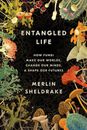 NEW Entangled Life By Merlin Sheldrake Hardcover Free Shipping