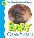 Baby Orangutan (San Diego Zoo Animal Library)