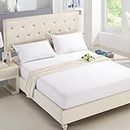 Soft and Comfortable Aloe Cotton Brushed Fitted Bed Sheet Cover in Solid Color Home Double Mattress Covers Sheets Bedsheets