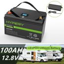 Batteria/caricabatterie al litio 12 V 100 Ah LiFePO4 BMS solare Bluetooth alimentazione di backup camper