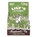 Lily's Kitchen Croquettes naturelles pour chiens adultes au agneau, recette sans céréales (12kg sac)