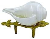 Centorganic Blowing Shankh for Pooja Original Conch Shell with free Brass Shankh Stand (3.5 Inch, Very Small)