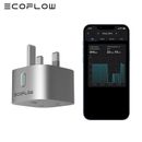 EcoFlow Smart Plug UK Type Adapter WiFi Socket APP Voice Control Energy Meter