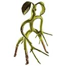 The Noble Collection Fantastic Beasts Bendable Bowtruckle - 8in (20cm) Posable Collectable Doll Figure - Fantastic Beasts Film Set Movie Props - Gifts for Family, Friends & Bowtruckle Fans