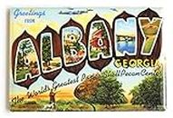 Greetings from Albany Georgia (pecan) frigorifero