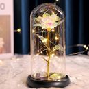 Beauty and The Beast Rose in Glass Dome Mothers Day Gifts Perfect Gift Mum Mom