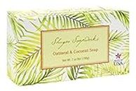 Shugar Soapworks Oatmeal & Coconut Body Hand Soap - Natural, Plant-Based Ingredients - No Colors/No Parabens - Made in USA