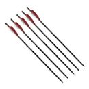 Crossbow Bolts HeadHunter Carbon Crossbow 20-In Arrows w/Field Points (5 Pack)