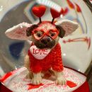 Adorable Pug Valentine’s Day Snow Globe