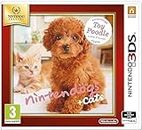 Nintendogs And Cats 3d: Toy Poodle (selects) /3ds [video game]