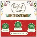 3 in 1 DIY Grow Kit by Bombay Greens | Pizza Gardening Kit | Grow Your Own Pizza Kit - Italian Basil Seeds, Oregano Seeds & Red Cherry Tomatoes Plant Seeds | DIY Kit of Pizza Seeds for Home Garden