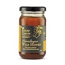 Honey and Spice - Himalayan Wild Honey (500g) | From the forests of Jim Corbett National Park | 100% Raw and Pure | Single Origin | Unblended | Natural and Original | Unprocessed (500)
