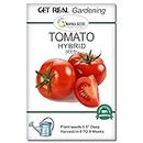 Tomato Hybrid Vegetable Seeds for Gardening. Free E Book for Kitchen Garden, Backyard Gardening, Home Gardening & Planting included. (Pack of 2 gram Tomato Hybrid Vegetable Seeds)
