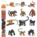 Safari Ltd.- Monos y Simios TOOB Conjunto de 12 Minifiguras (-) Figura de Juguete, Multicolor, S (680604)