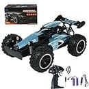Locisne Remote Controlled High Speed Racing Car, 2.4 GHz RC Car, Off-Road Vehicle, Blue Offroad Stunt Truck, Gift Toy For Age 8+, With 2 Batteries Rechargeable (Off-Road Vehicle)