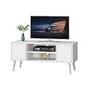 Function Home TV Stand with Storage, Modern Entertainment Center, TV Console for TVs up to 55", Storage Cabinet with Shelves and Doors for Living Room, Entertainment Room, Office, White