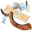 Kosher Kudu Shofar Horn from Israel – Traditional Half Polished Yemeni Shofar Includes Carrying Bag, Brush, Anti Odor Spray and Blowing Guide - Holy Easy Blowing Ancient Musical Instrument (28"-32")